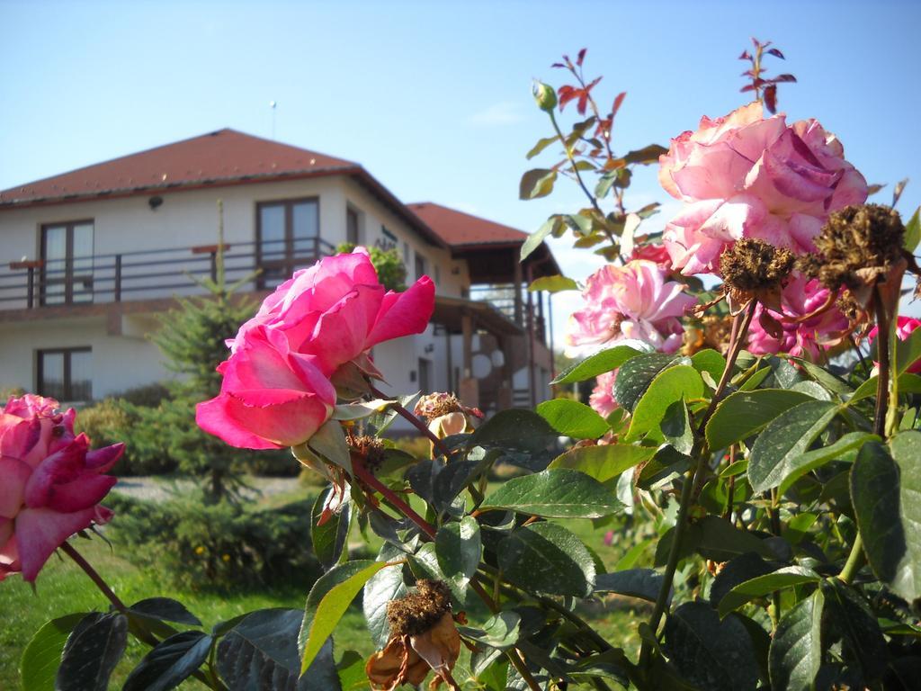 Horizont Panzio Bed & Breakfast Odorheiu Secuiesc Ngoại thất bức ảnh